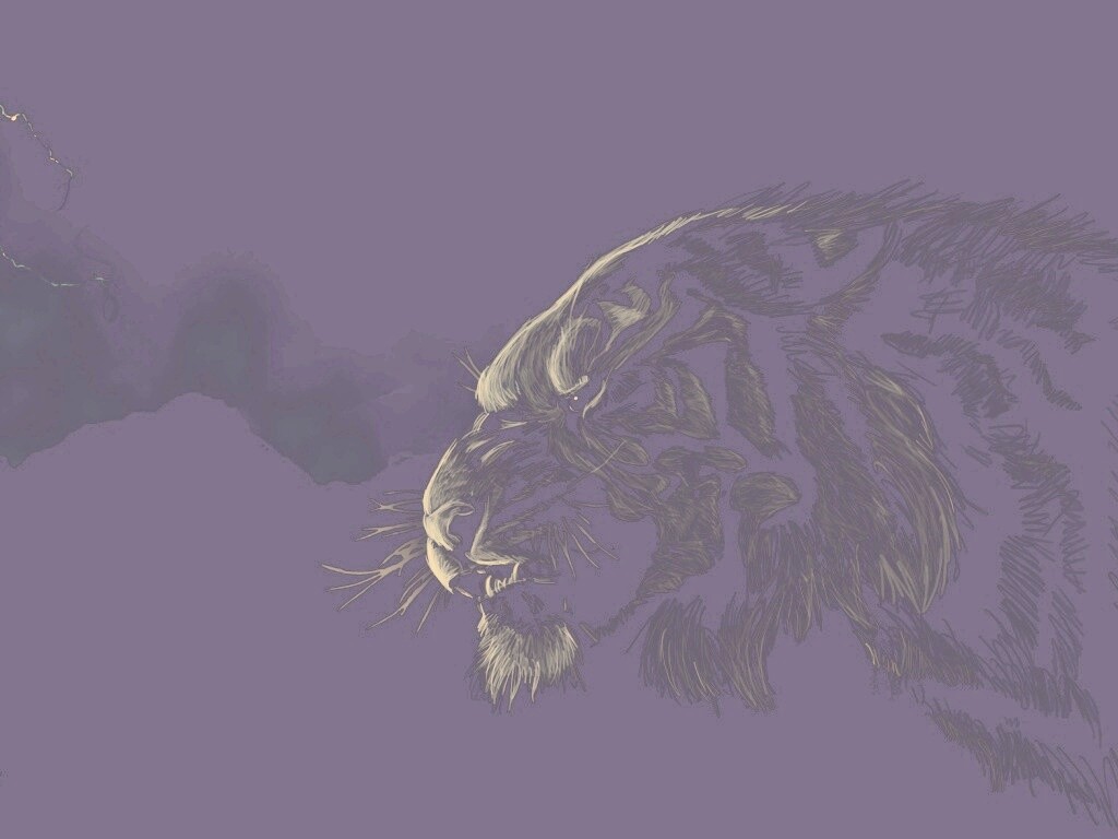 Рисунок грозного тигра обои