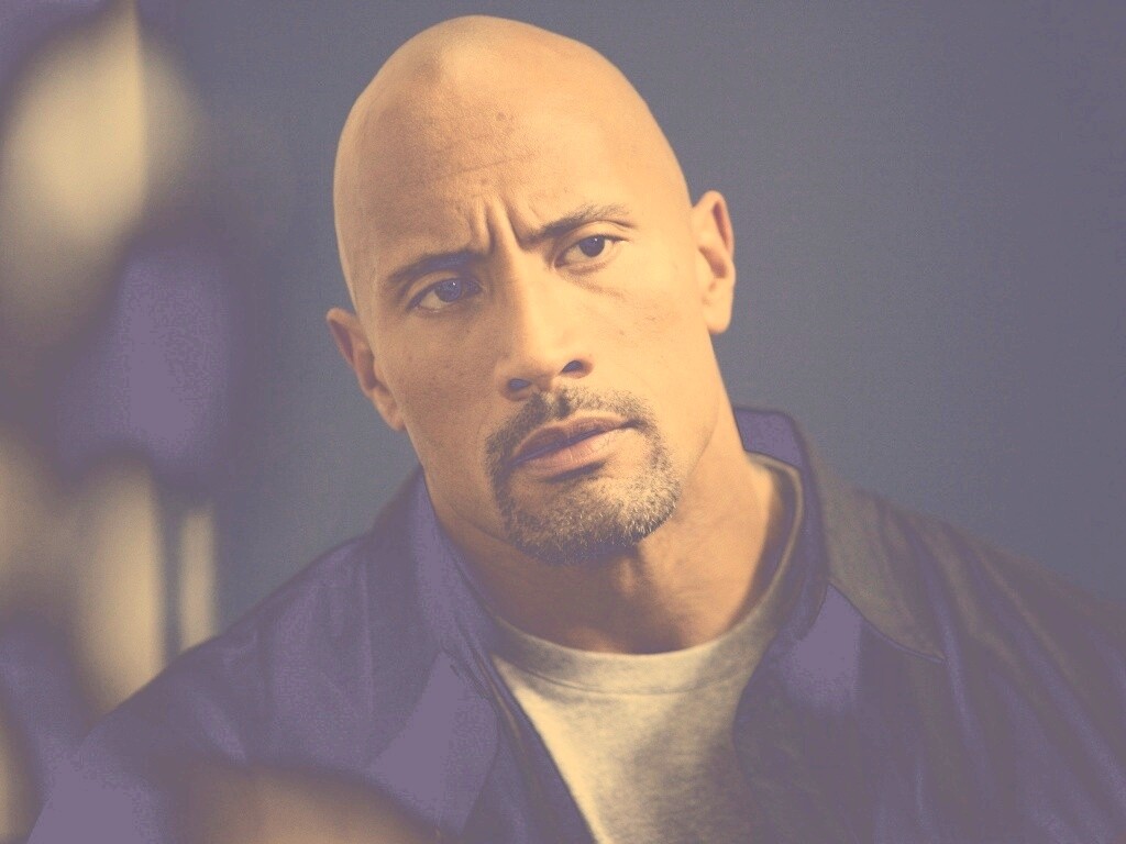 Dwayne johnson, Actor, Bald, Hair, Celebrity обои