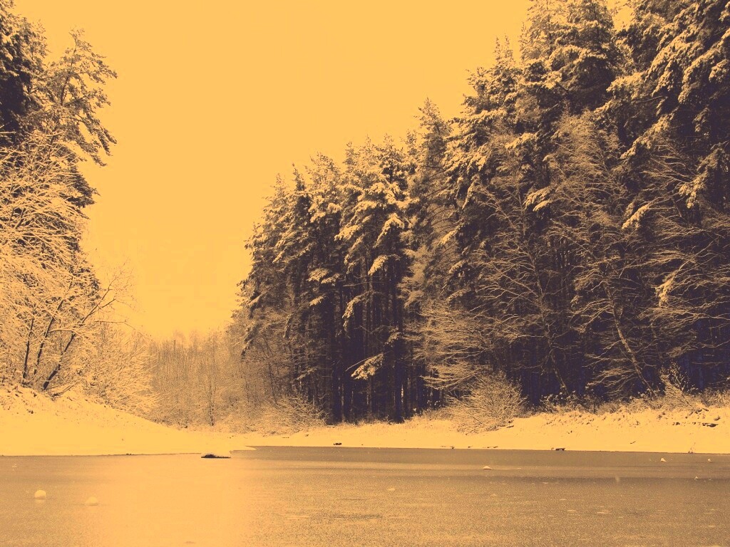 Зимняя дорога обои