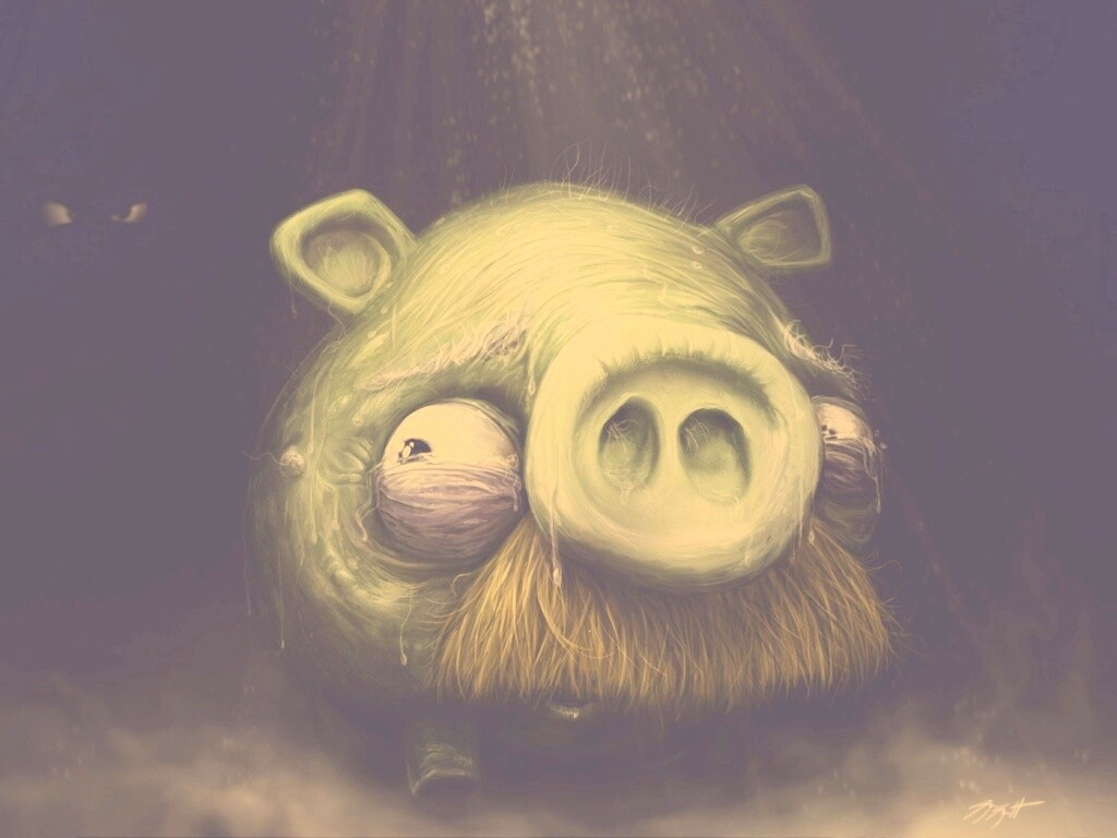 Свинья из Angry Birds обои