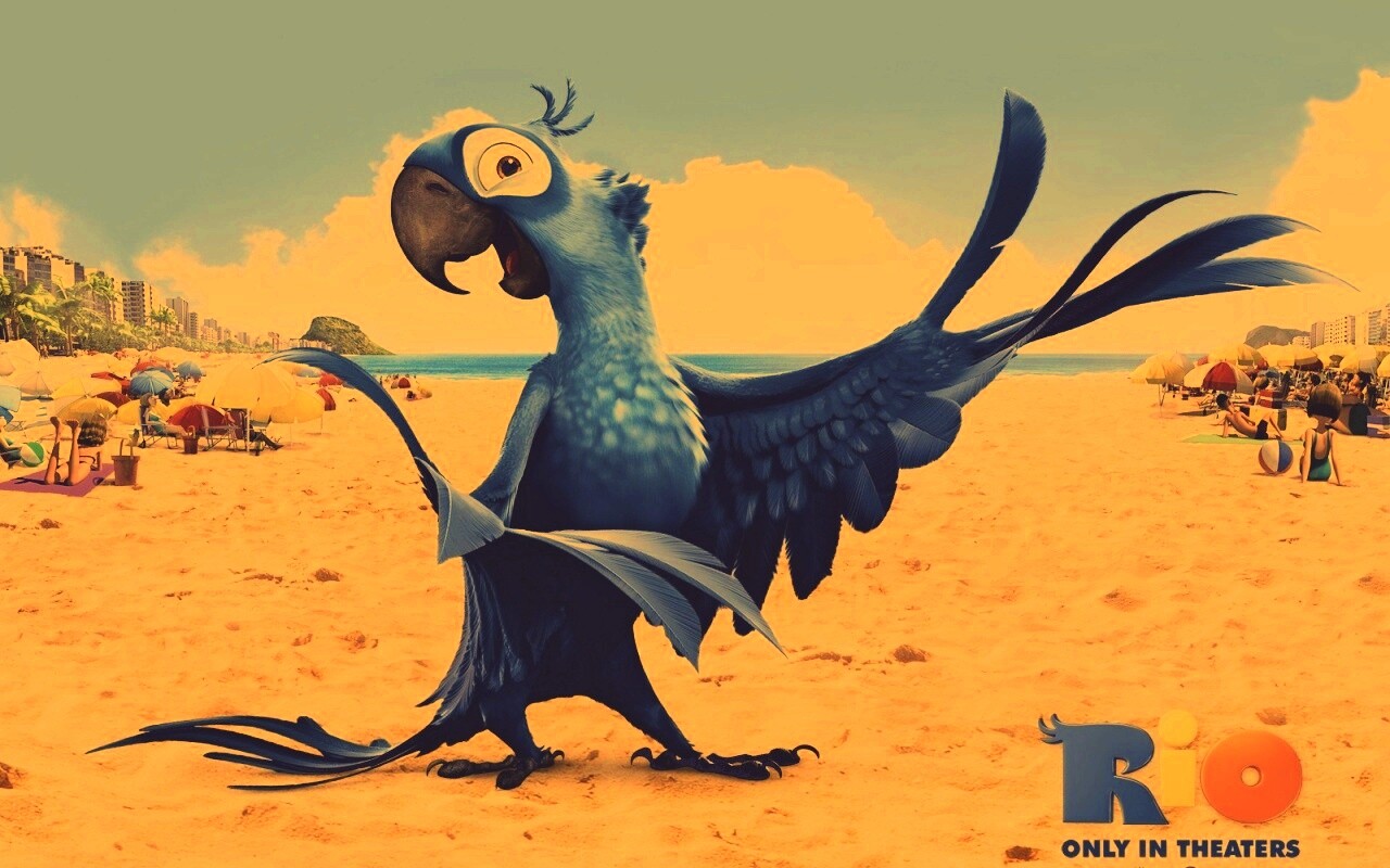 Blu из Rio обои