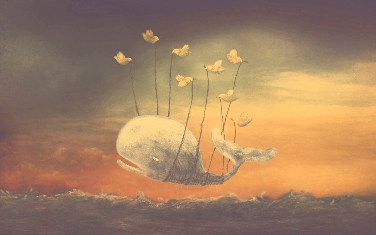 Twitter Fail-Whale обои