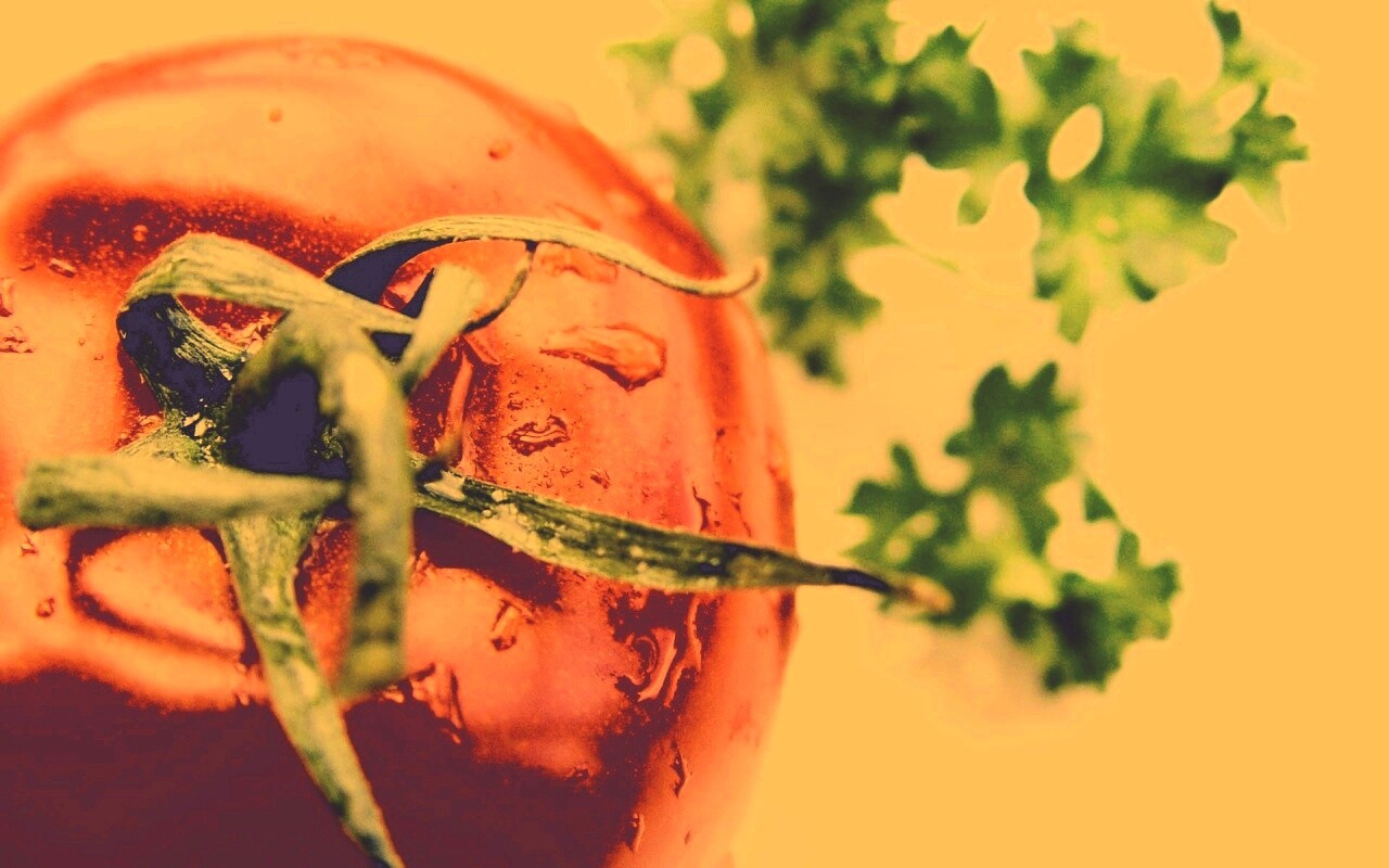 Свежая помидорка обои