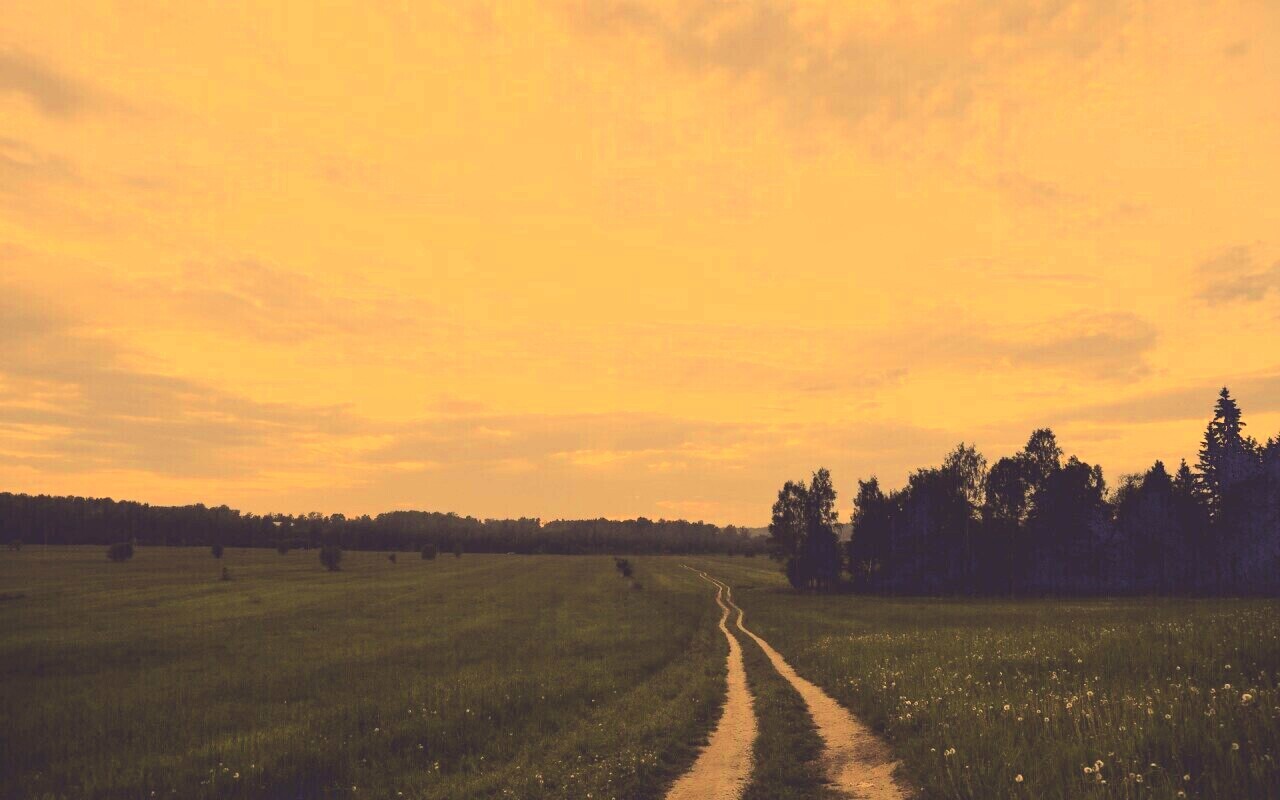 Дорога к лесу обои