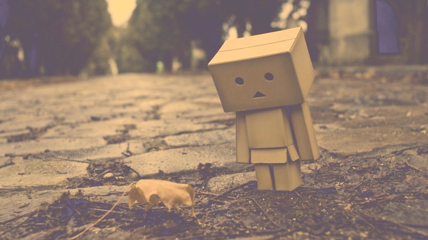 Danbo и первый осенний лист обои
