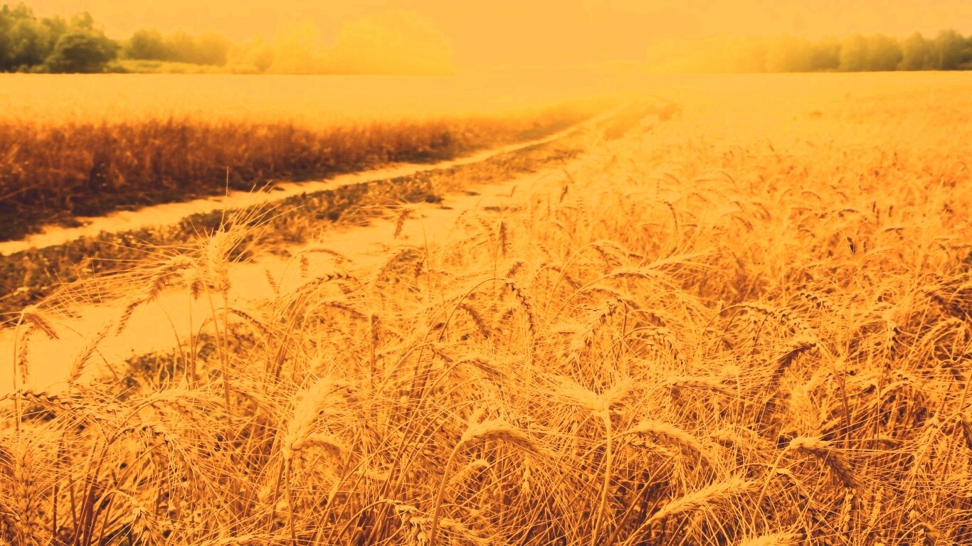 Речка среди поля обои