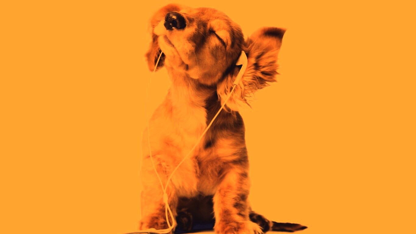 Щенок в наушниках обои