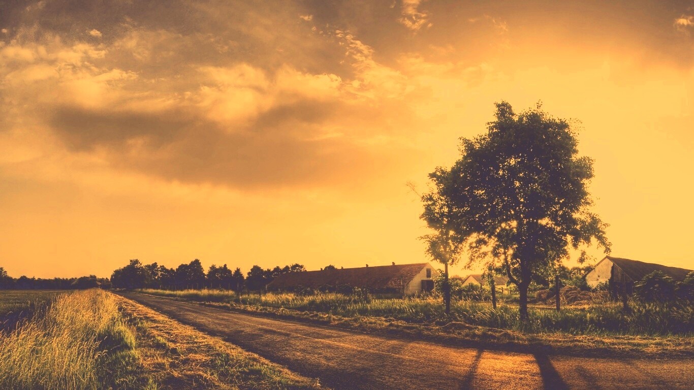 Закат на фоне дерева в HDR обои