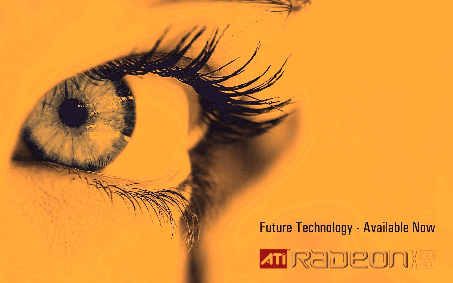 Ati Radeon Future Technology - available now обои