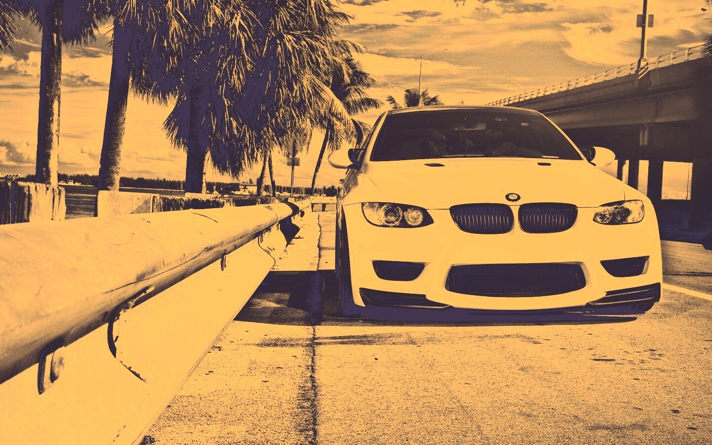 BMW в тропиках обои