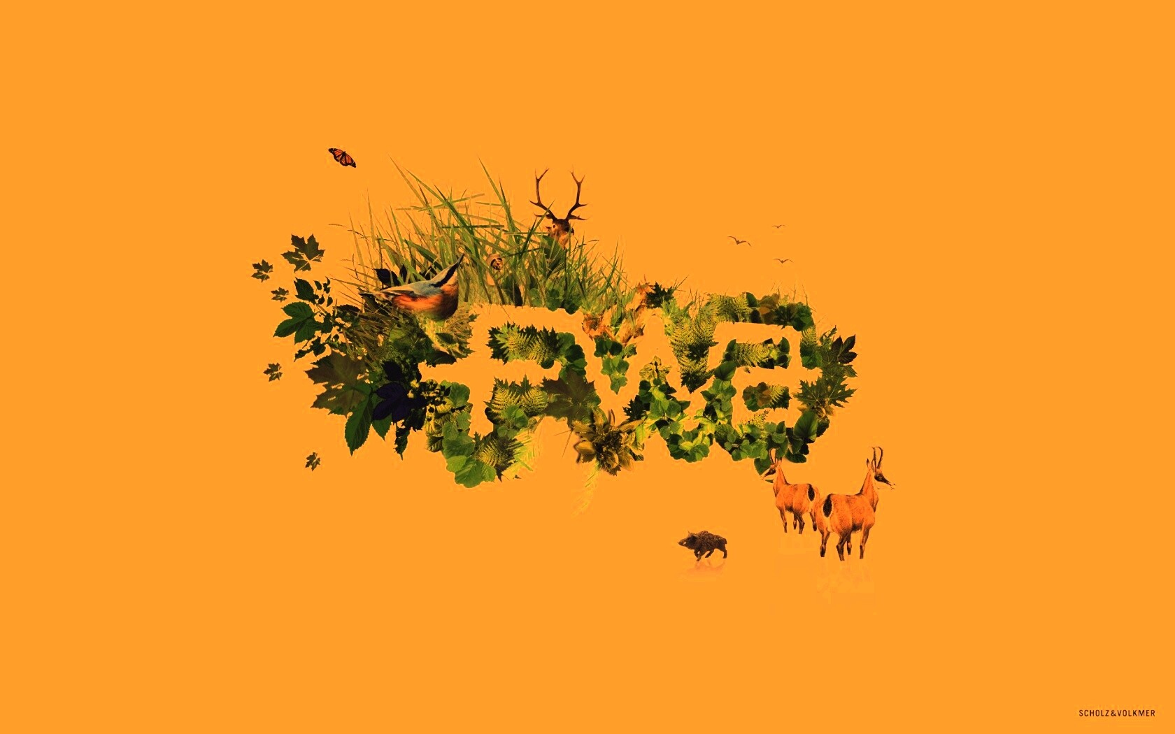 FWA обои