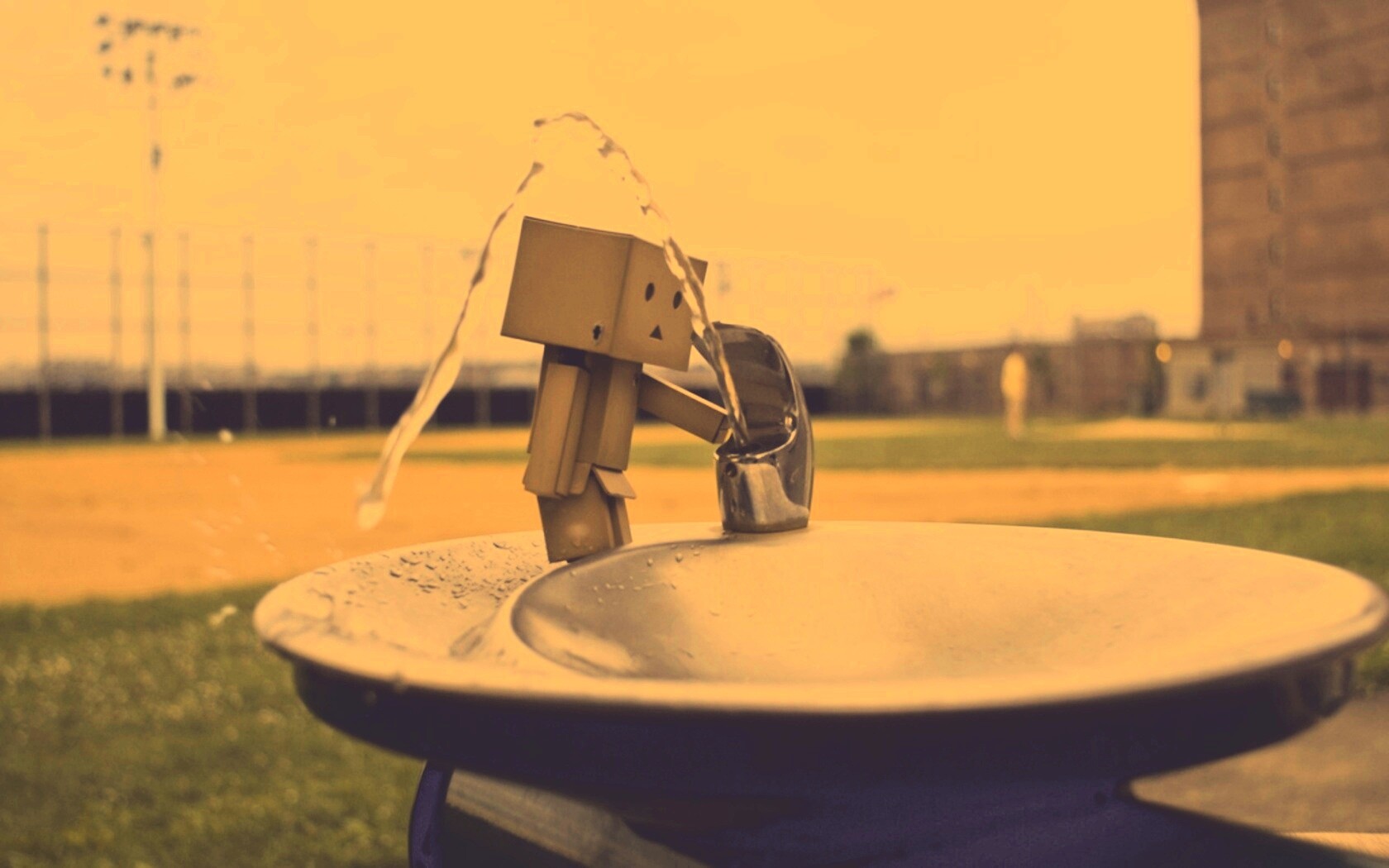 Дандо пьет в воду из фонтанчика обои