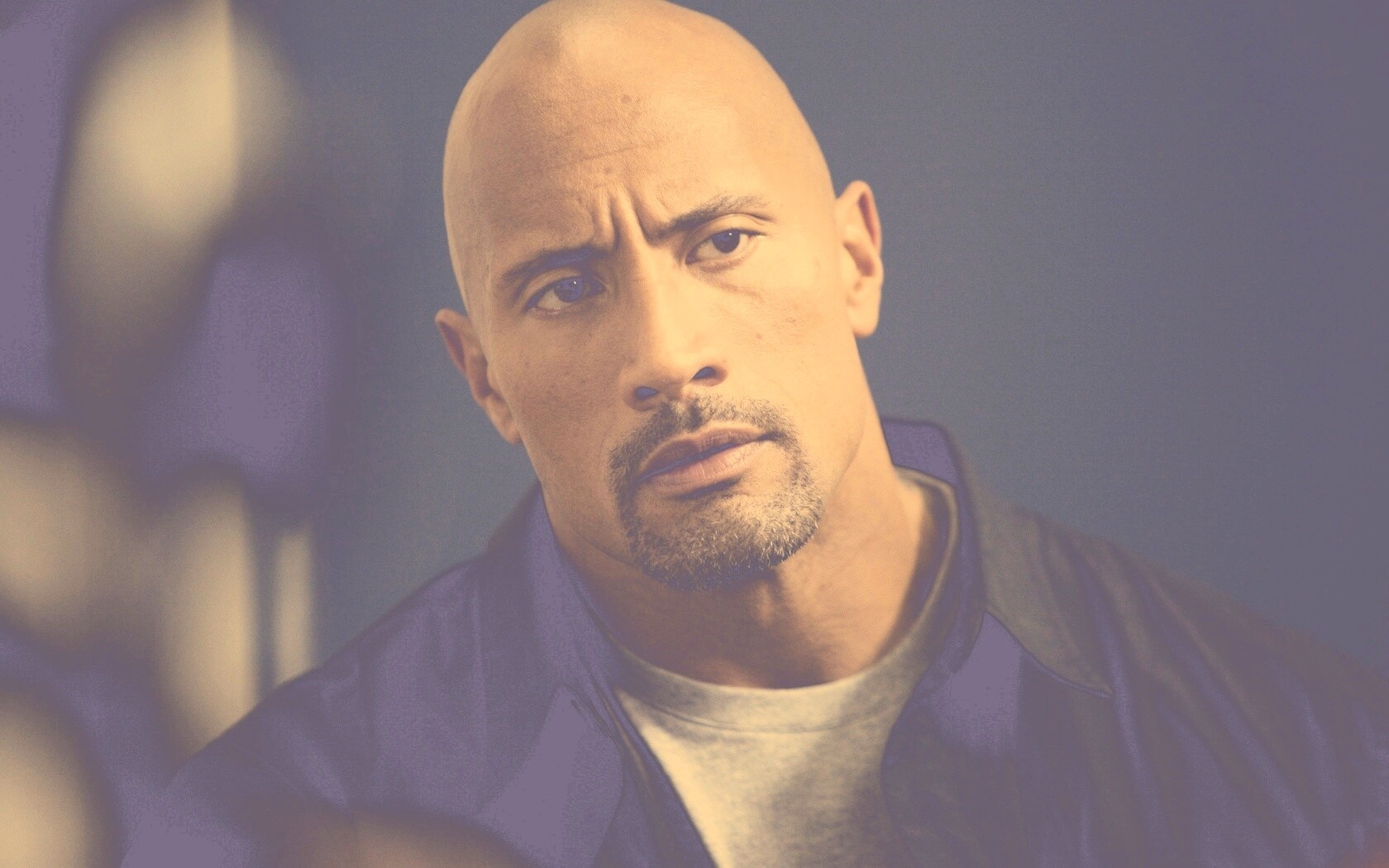 Dwayne johnson, Actor, Bald, Hair, Celebrity обои