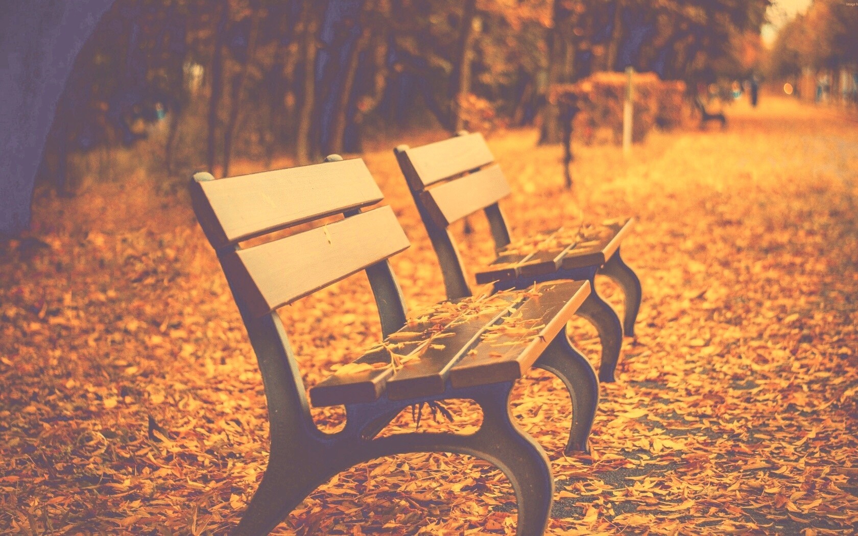 Лавочки в осеннем парке обои