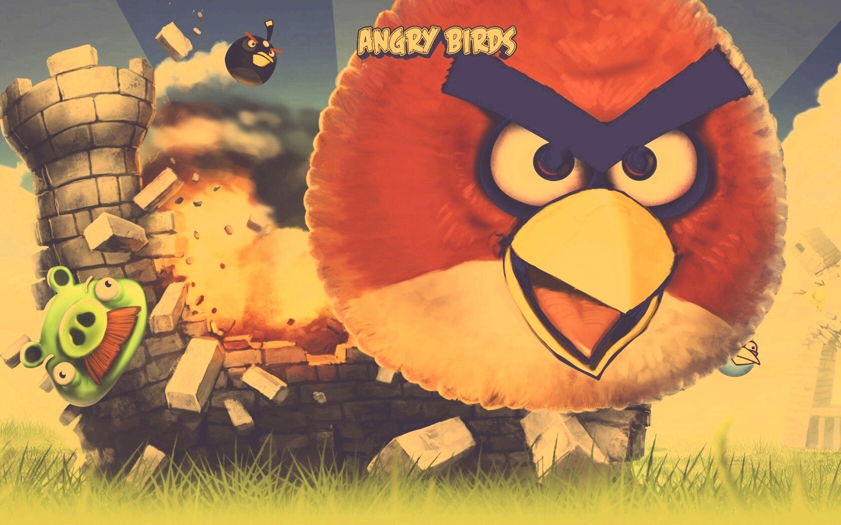 Angry Birds обои