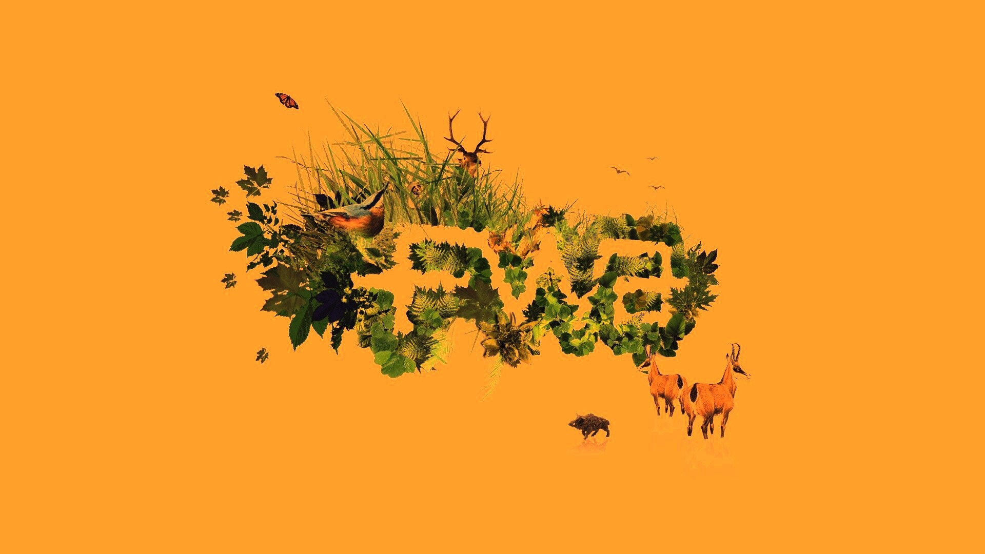 FWA обои