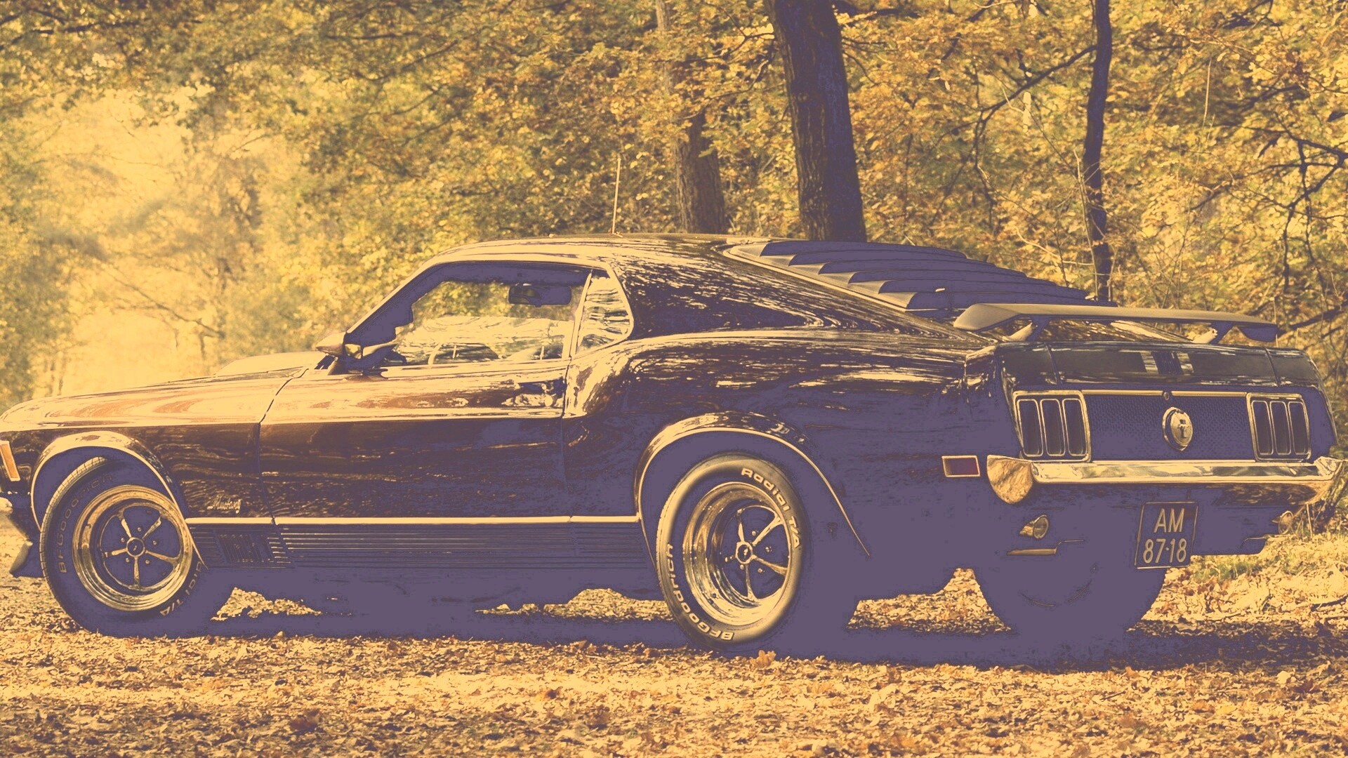 Ford обои