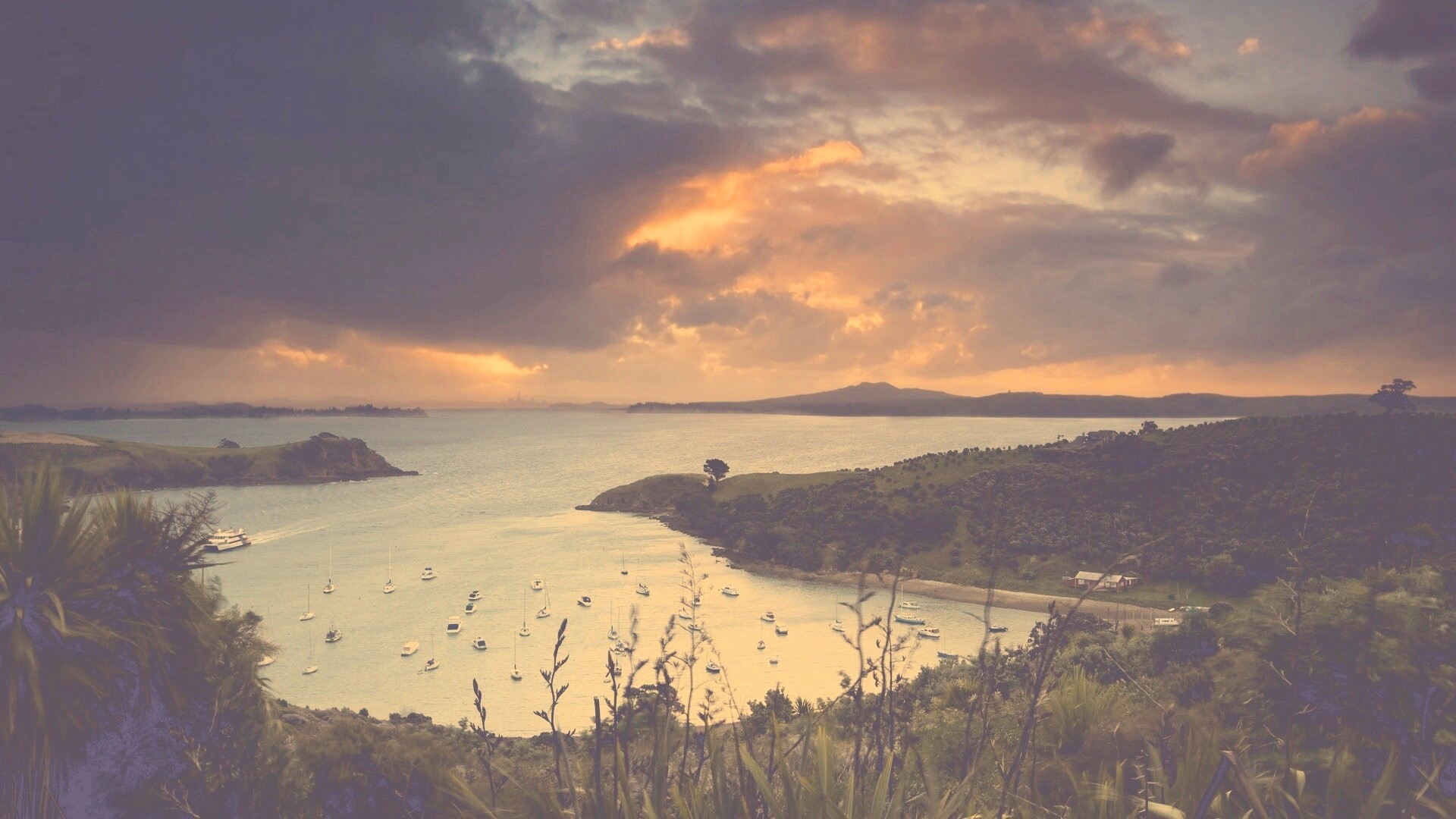 Waiheke Island, New Zealand обои