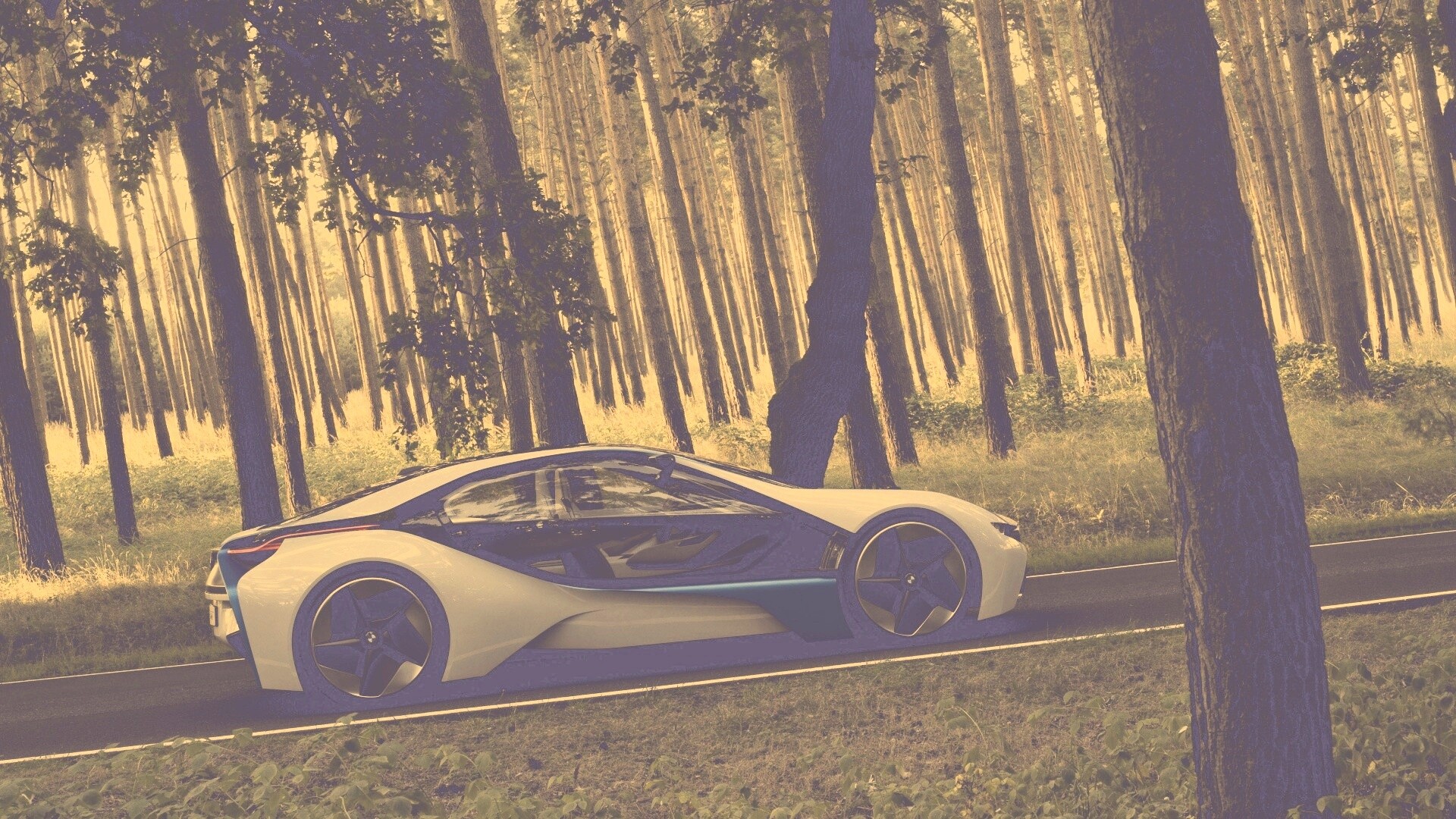 Спорткар BMW на лесной дороге обои