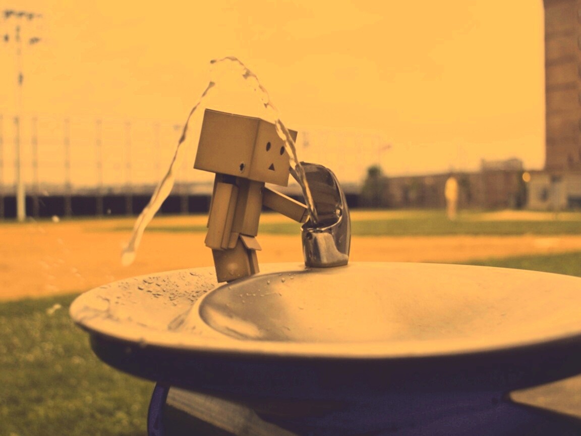 Дандо пьет в воду из фонтанчика обои