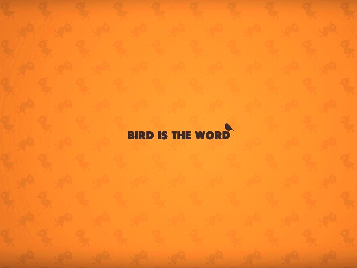 Bird is the word обои