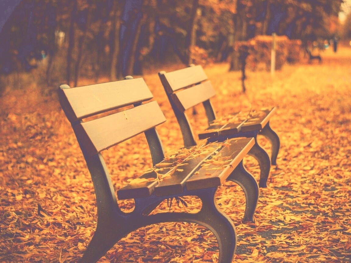 Лавочки в осеннем парке обои