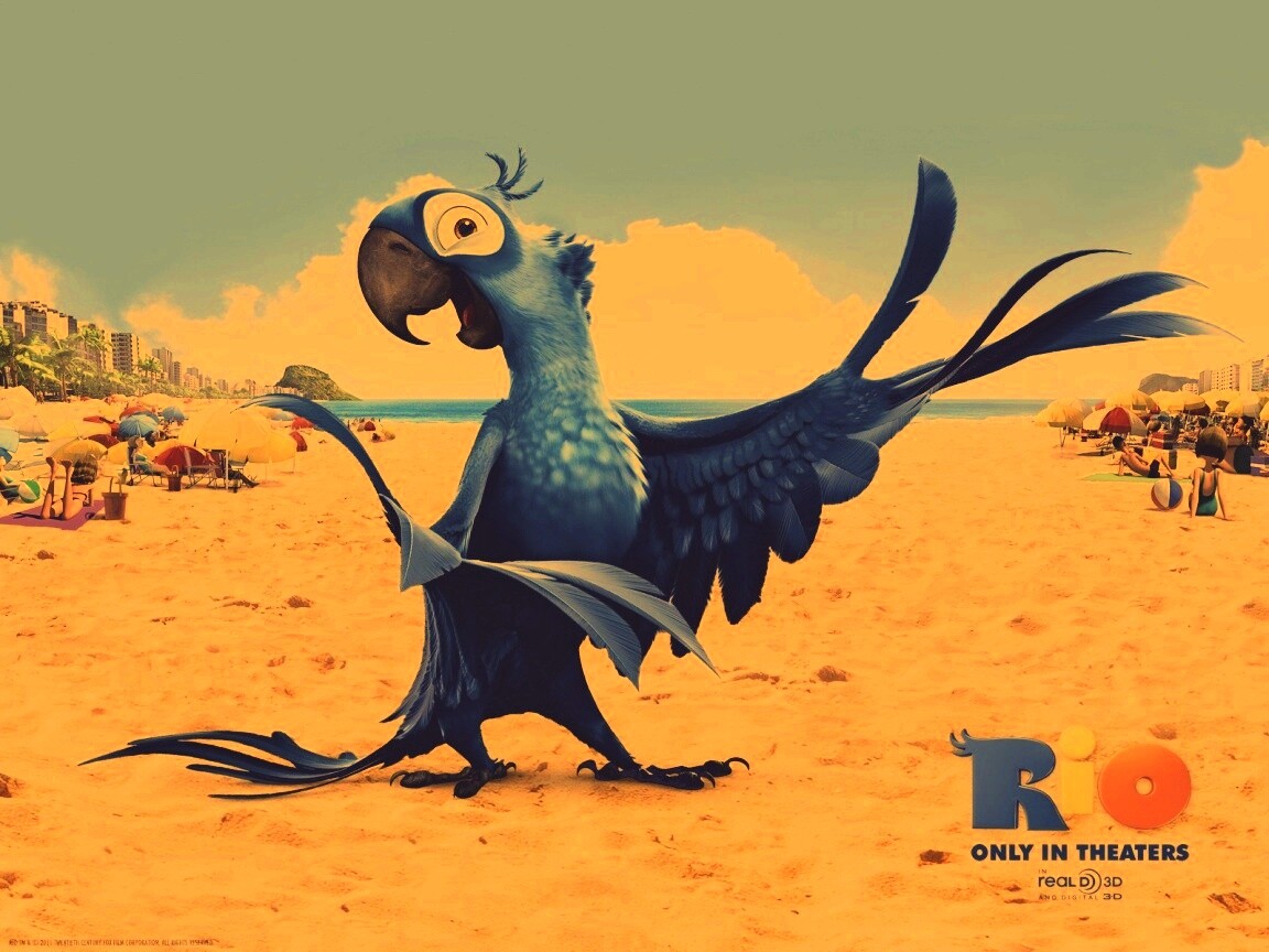 Blu из Rio обои