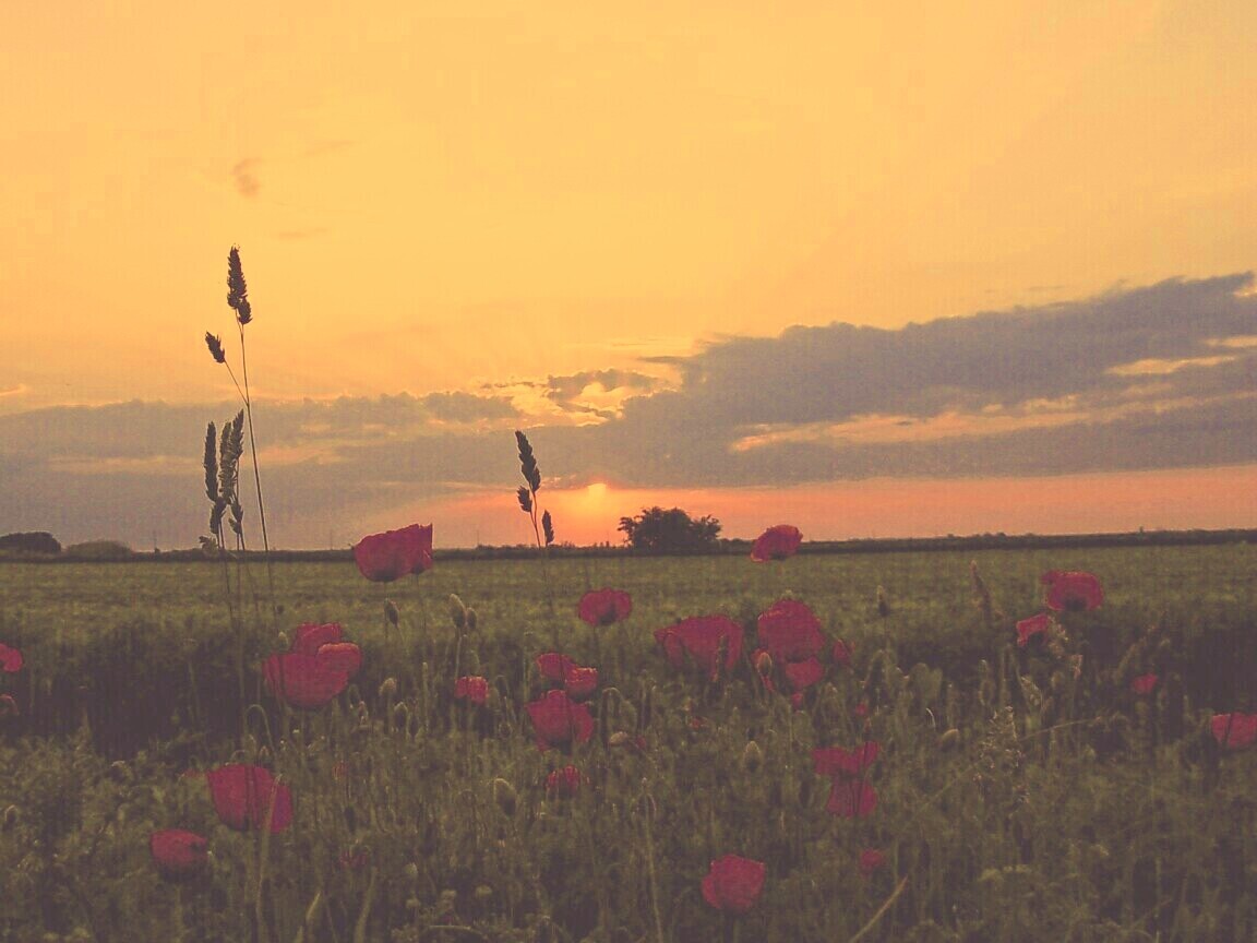 Закат обои