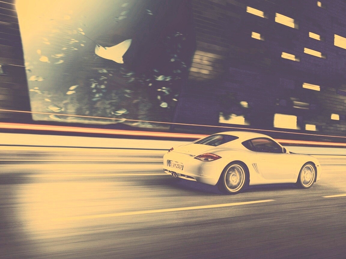 Porsche на трассе обои