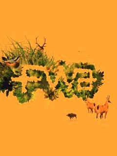 FWA обои