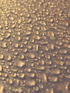 Вода собирается в капли обои