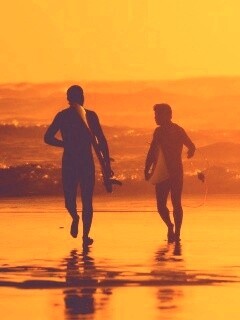 Серфингисты обои