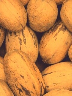 Грецкие орехи обои