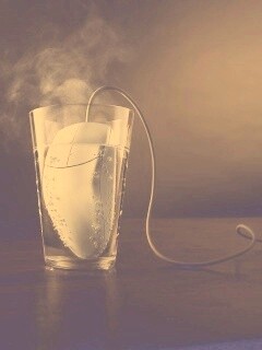 Дымящаяся мышка в стакане воды обои