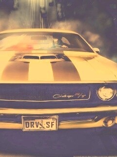 Driver San Francisco Challenger обои