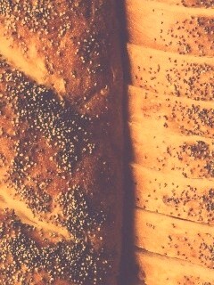 Выпечка с маковой крошкой обои