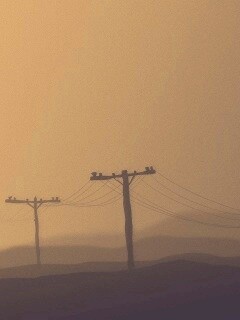 Столбы в тумане обои