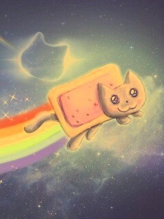 Nyan cat обои