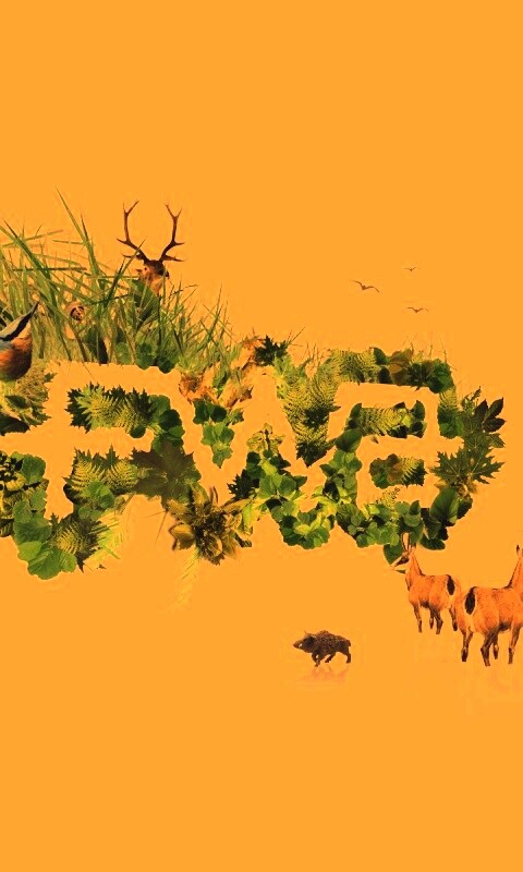 FWA обои