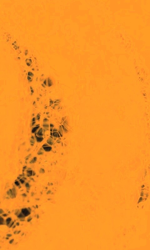 Мыльная пена обои