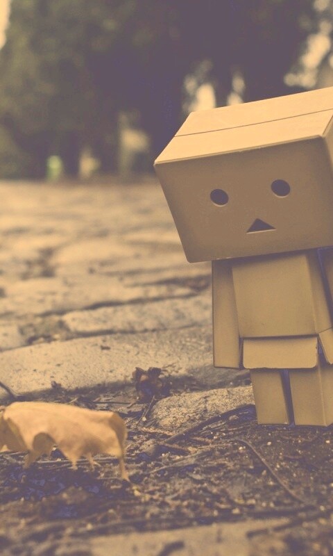 Danbo и первый осенний лист обои