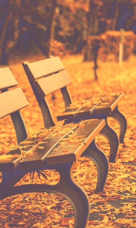 Лавочки в осеннем парке обои