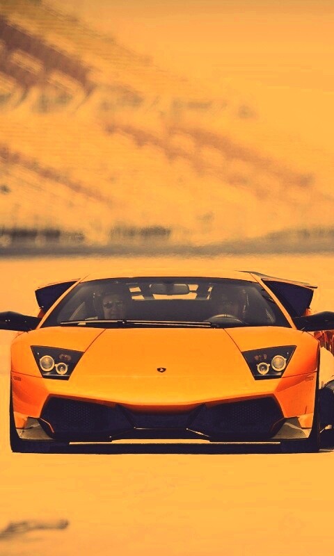 Lamborghini Murcielago обои