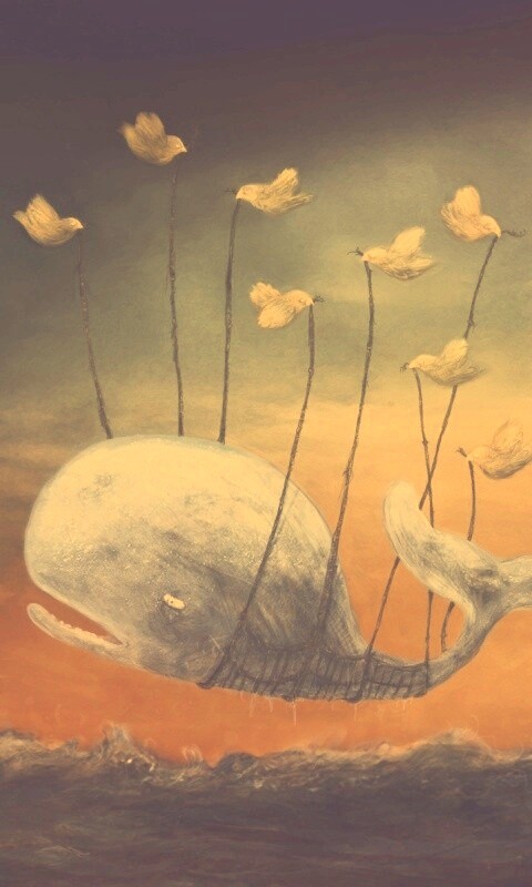 Twitter Fail-Whale обои