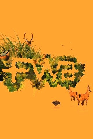 FWA обои