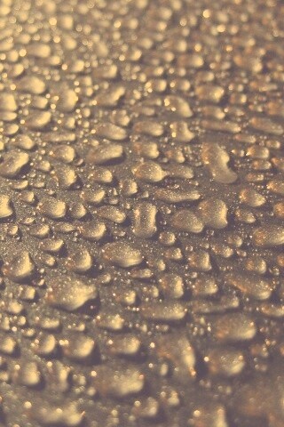 Вода собирается в капли обои