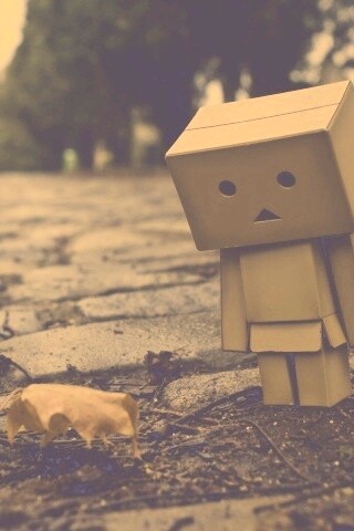 Danbo и первый осенний лист обои