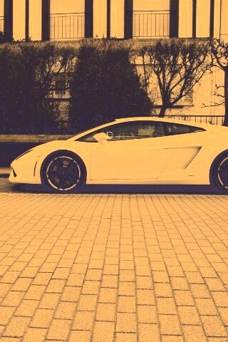 Белый Lamborghini обои
