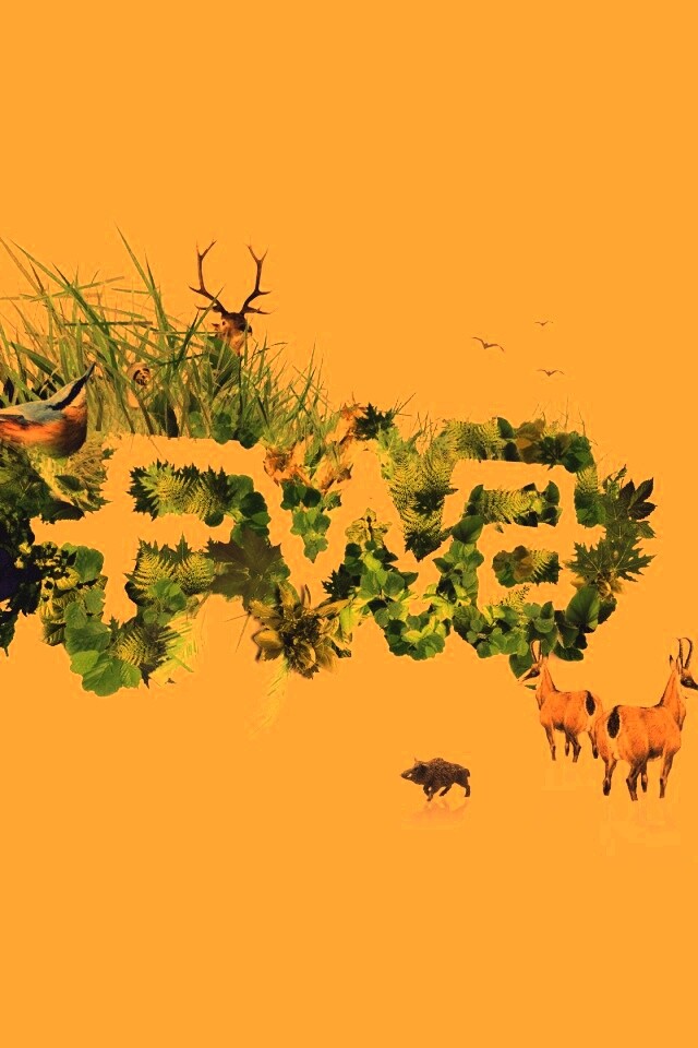 FWA обои