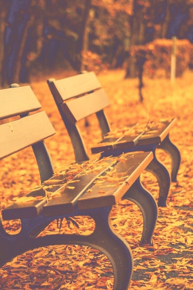 Лавочки в осеннем парке обои